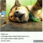 | 인제대학교