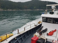 팀황금비율 VS 팀워너비 한산도 감성돔 교류전그결과는?!! 팀황금비율 VS 팀워너비 한산도 감성돔 교류전그결과는?!!