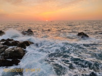 감포바다 기상 및 조황정보(살감성돔)