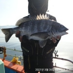 해상월ᆢ감성돔 출조함니다!! (예약가능)