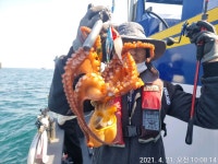 라코피싱) 먼바다 돌문어 쭉쭉쭉 나와주네요~~~!!