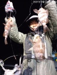 4/21일 밤볼락 조황 입니다.