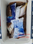 5월 29일 울진 죽변항 삼흥호 참가자미낚시