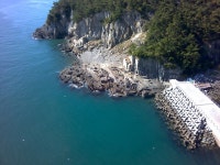 미조 벵순이 퍽퍽 하네요..