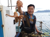 《고성 매섬2호》주간 야간 문어조황 조황입니다 굿굿~!