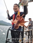 고성 태화피싱)야간 돌문어 철수조황~~~~