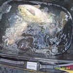 척포)최선장~씨알급 벵에들로~~