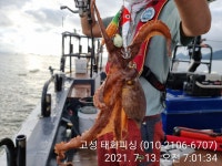 고성 태화피싱)돌문어 연일 대박조황~~ㅎㅎ
