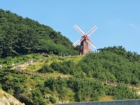 바람의 언덕에서