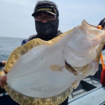 《태안 어해루호》 8월22일 광어마리수 55수8짜,7짜6짜 조황으로 기분 좋게 입항