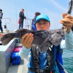 《태안 어해루호》 8월22일 광어마리수 55수8짜,7짜6짜 조황으로 기분 좋게 입항