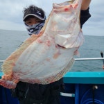 《태안 어해루호》 8월22일 광어마리수 55수8짜,7짜6짜 조황으로 기분 좋게 입항