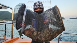 [여수 퍼펙트호] 돌문어 손맛 제대로 봤습니다~!