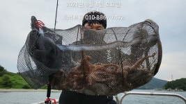 [여수 퍼펙트호] 문어 대박 사냥 다녀왔습니다~!