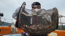 [여수 퍼펙트호] 문어 대박 사냥 다녀왔습니다~!