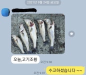 척포)최선장~4짜감시외~뻰찌~농어~무늬 소식으로~~