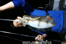 《고성 섬바다호》선박 정비로 월요일 쉬고 화요일 무늬 출동했습니다 ^^