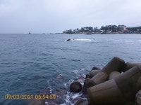 감포바다 기상 및 조황정보(무늬 오징어)