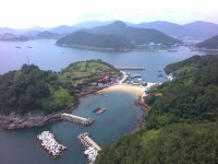 조도 벵에돔 탐사