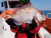 통영피싱마샬 입니다.11월1일월요일 타이라바 출조 합니다.01085396331