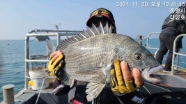 통영 대양호)대박 감시흘림 원도권 굿은날씨로인해 목요일기상보고달립니다