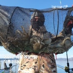 (고흥 여명호)29일 월요일 조황올립니다.