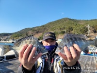 《감성돔》강한 바람에 안전한 곳에서~