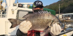 대물 감성돔 54, 50.5 , 50, 49.5 , 48,47,46,44,44,43,40 외~ 대물 감성돔 54, 50.5 , 50, 49.5 , 48,47,46,44,44,43,40 외~