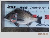 해금강 태성호 48/47/47/41감성돔 소식