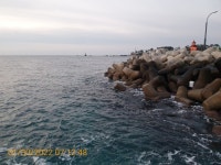 감포바다 기상 및 조황정보