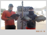 해금강 태성호 47,45,41Cm 감성돔 소식