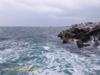 감포바다 기상 및 조황정보