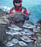 2/18(금)금오열도 덩치씨알과 떼고기마릿수입니다.