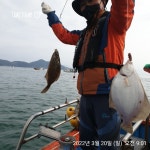 해상월 ᆢ왕도다리 조황임니다!!(토ㆍ일조황)