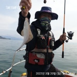 해상월 ᆢ왕도다리 조황임니다!!(토ㆍ일조황)