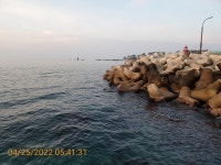 감포바다 기상 및 조황정보