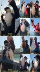 녹동해성2호 4월16일 내만권 갑오징어 출조 모집합니다.
