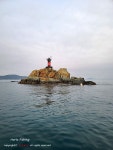 호호피싱]또 비...연화도 참돔과 벵에돔...[토요일 04시/13시 정상 출조]