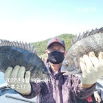 《통영 공룡호》10방 터지고 빠지고 43,42,42,42외 마리수