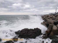 감포바다 기상 및 조황정보(풍랑 주의보,높은 너울파도)