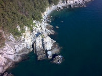 지세포 강성낚시 다녀 왔어요..