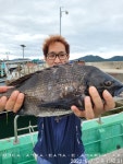 (통영한바다호)감성돔흘림, 3분이서 46이하로 20마리 이상잡고 조기철수