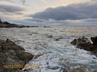 감포바다 기상 및 조황정보