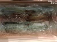 한치 대박 조황 기대하면서 수요일부터 쭈~욱 달려보겠습니다