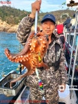 군산에프원호 키로넘는 #문어 나날이호조황기록!!다음주예약해주세요