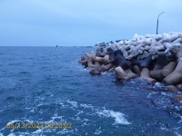 감포바다 기상 및 조황정보(벵에돔)