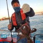 문,쭈,갑
