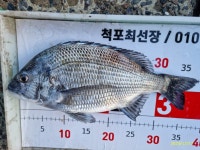 척포)최선장~정출팀~씨알급 4짜들로~~