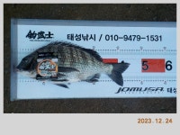해금강 감성돔 49-47-46-46 외 잔당들