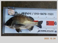 해금강 감성돔 49-47-46-46 외 잔당들